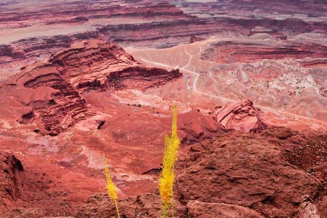 Imagen del tour: Parque Nacional Canyonlands Aventura en 4x4 en el campo desde Moab