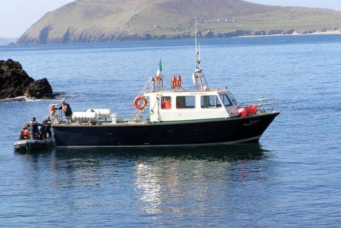 Imagen del tour: Excursión de avistamiento de delfines y ballenas desde Dingle