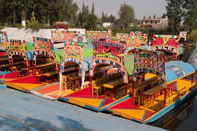 Imagen del tour: Xochimilco y Universidad Nacional de México