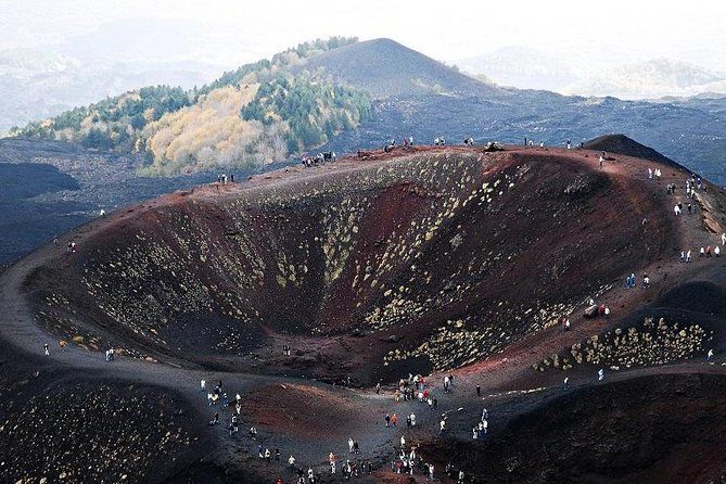 Imagen del tour: Visita privada a las bodegas del Monte Etna y Etna con degustación de Syracuse