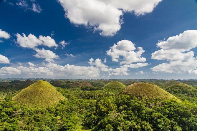 Imagen del tour: Excursión Lo más destacado de Bohol: Chocolate Hills, avistamiento de tarsiers y crucero por el río Loboc