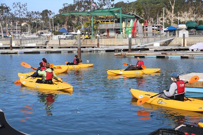 Imagen del tour: Dana Point y Huntington Beach: kayak de mar de día completo, caminata, bicicleta y almuerzo