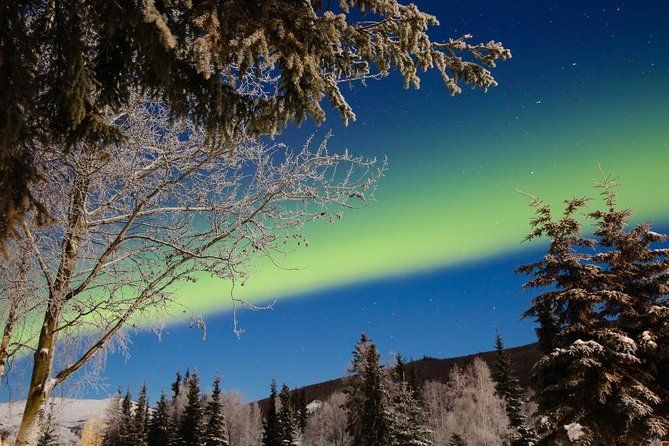 Imagen del tour: Excursión a las aguas termales de Chena Aurora desde Fairbanks