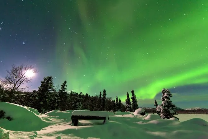 Imagen del tour: Excursión al círculo polar ártico y la aurora boreal desde Fairbanks