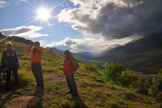 Imagen del tour: Tour de Senderismo Denali