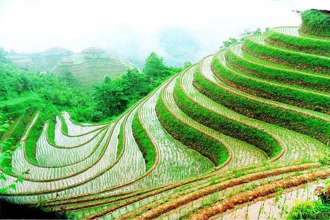 Imagen del tour: Recorrido de 1 día por las terrazas de arroz de Longsheng desde Guilin con guía privado y conductor