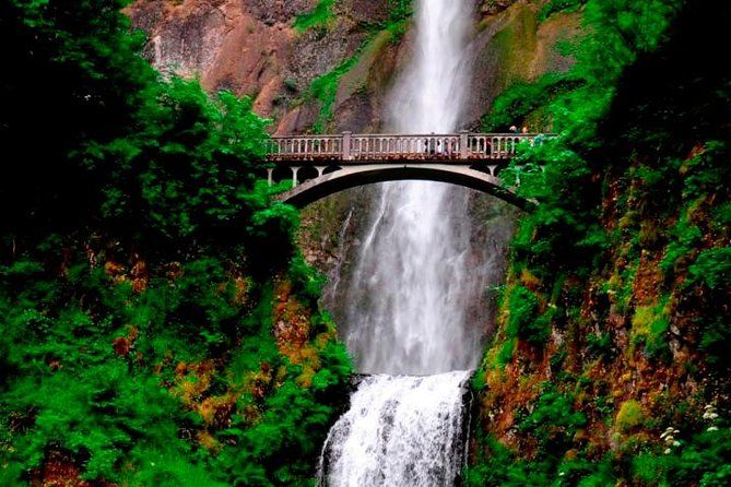 Imagen del tour: Excursión a las cataratas de la garganta del río Columbia desde Portland