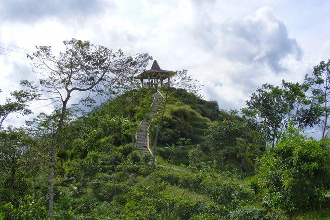 Imagen del tour: Excursión de medio día a Menoreh Hill trekking privado desde Borobudur
