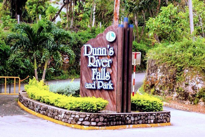 Imagen del tour: Excursión a las cataratas del río Dunn desde Lucea