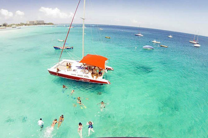 Imagen del tour: Snorkel en tortuga catamarán de Barbados con almuerzo y barra libre