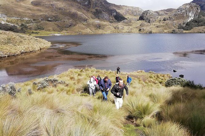 Imagen del tour: Excursión de medio día al Parque Nacional de Cajas
