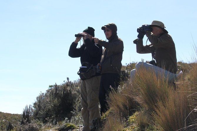 Imagen del tour: Excursión de observación de aves en el Parque Nacional Cajas desde Cuenca
