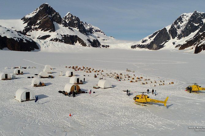 Imagen del tour: Juneau Shore Excursions: experiencia en trineo de perros en helicóptero y aterrizaje adicional en el glaciar