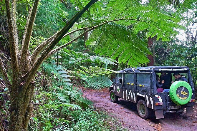 Imagen del tour: Safari de medio día por los pueblos de Madeira desde Funchal