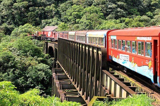 Imagen del tour: Serra Verde Express: recorrido en tren hasta Morretes y Antonina desde Curitiba