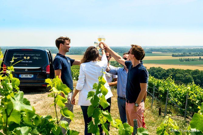 Imagen del tour: Desde Reims día completo Maison de Champagne viticultores familiares y almuerzo