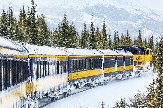 Imagen del tour: Ferrocarril de Alaska Aurora Winter Fairbanks a Anchorage One Way