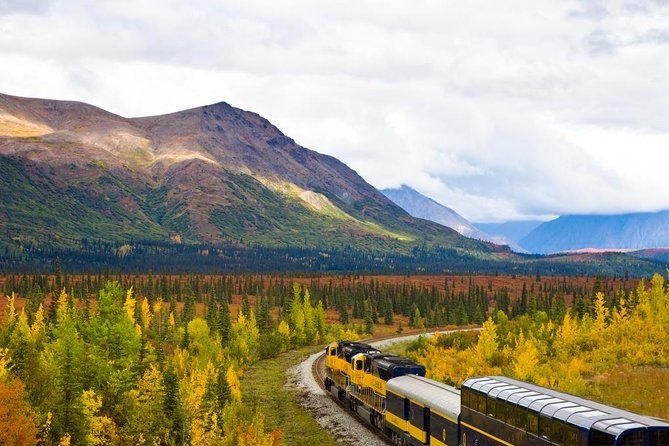 Imagen del tour: Alaska Ferrocarril Denali a Anchorage One Way