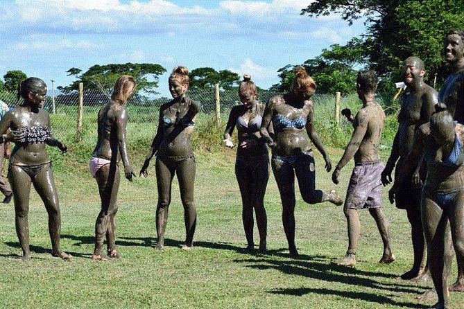 Imagen del tour: Excursión en tierra: pozas de barro de Nadi, jardines de los gigantes durmientes, mercados, templos y compras