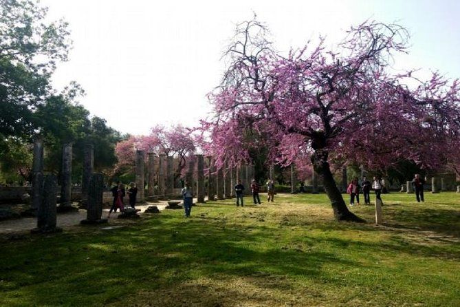 Imagen del tour: Excursión por la costa de Katakolon: Excursión Premium Olympia y degustación gratuita de aceite de oliva