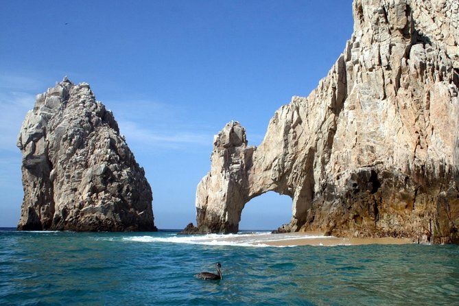 Imagen del tour: Excursión combinada a Los Cabos: Paseo en barco con fondo de cristal, y recorrido turístico por la ciudad y por las tiendas con almuerzo opcional