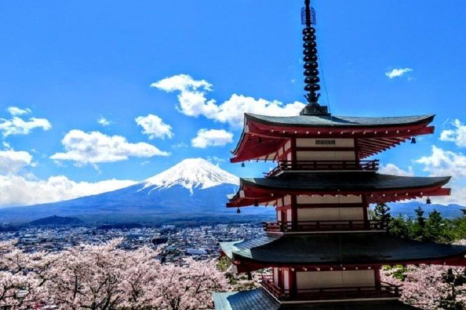 Imagen del tour: Aspectos destacados de la excursión de un día alrededor del monte. Fuji en transporte público