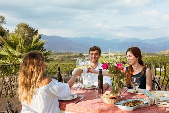 Imagen del tour: Tour de los amantes de la comida y el vino en el campo del Etna (grupo pequeño)