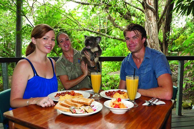 Imagen del tour: Desayuno con los koalas en Hartley's Crocodile Park desde Cairns o Palm Cove