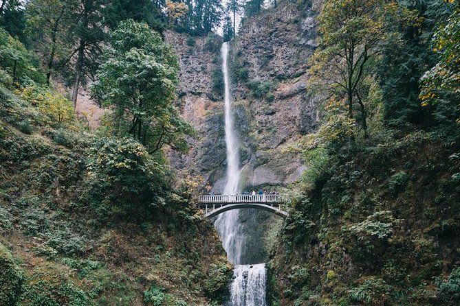 Imagen del tour: Excursión de medio día por la tarde a la cascada Multnomah y las cataratas de la garganta del río Columbia desde Portland