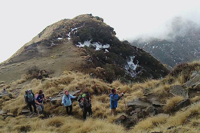 Imagen del tour: Campamento base Mardi Himal Dream Trekking en 3 días desde Pokhara Nepal