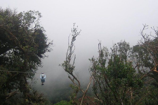 Imagen del tour: Recorrido combinado con tirolina y puentes colgantes en el bosque nuboso de Monteverde