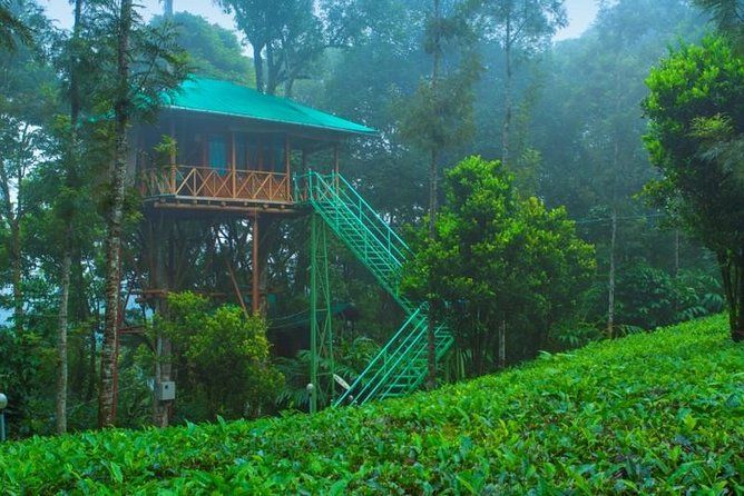 Imagen del tour: 2 Noches Munnar Treehouse Escape con coche privado- Iris Holidays