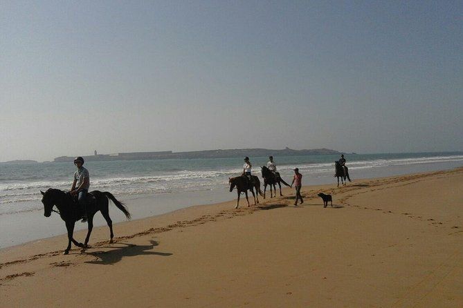 Imagen del tour: Paseo a caballo de 1 hora en la playa de essaouira
