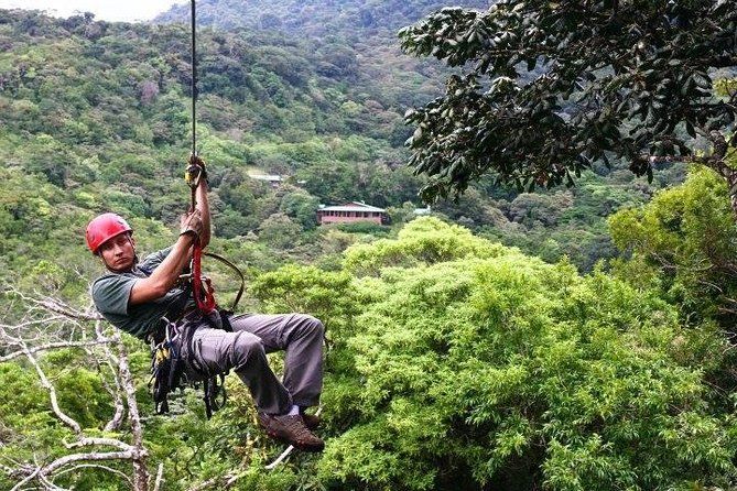 Imagen del tour: Excursión en tirolina en Monteverde