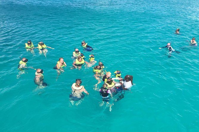 Imagen del tour: Aventura de snorkel en tortugas y naufragios en Barbados