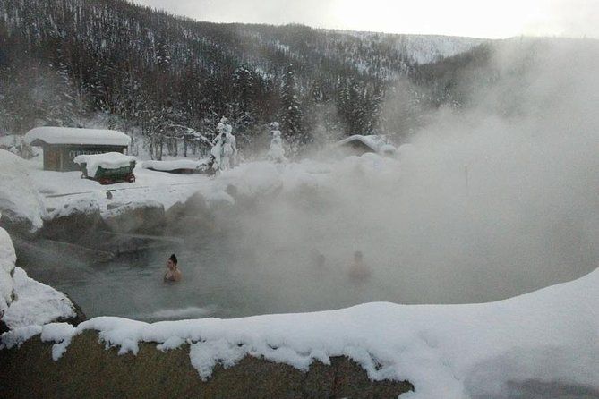 Imagen del tour: Chena Hot Springs Aurora Tour