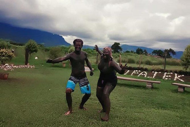 Imagen del tour: Nadi Tour- Jardín del Gigante Dormido, Temple y Mud Pool Combo