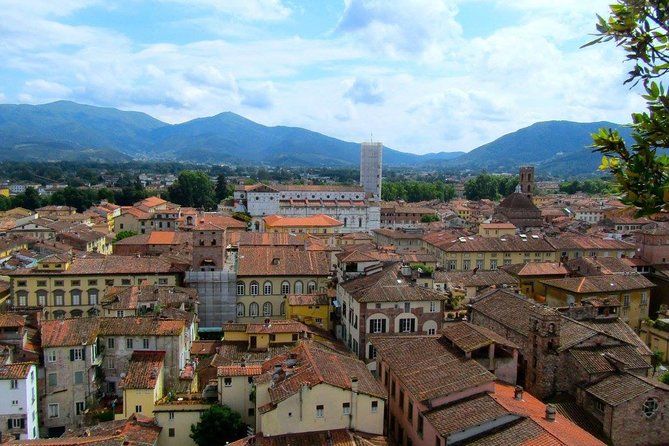 Imagen del tour: Una mirada a Lucca: recorrido a pie y exploración de Lucca