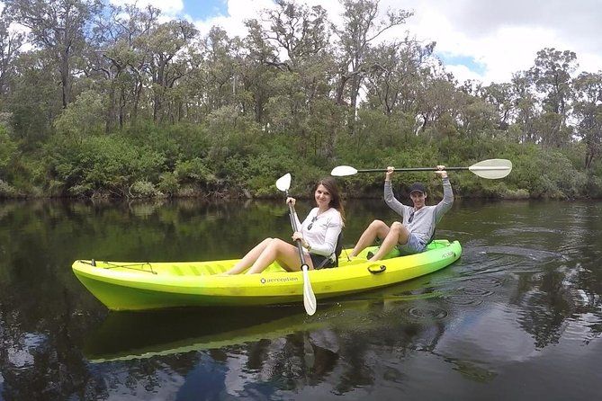 Imagen del tour: Recorrido en kayak y bodega por el río Margaret