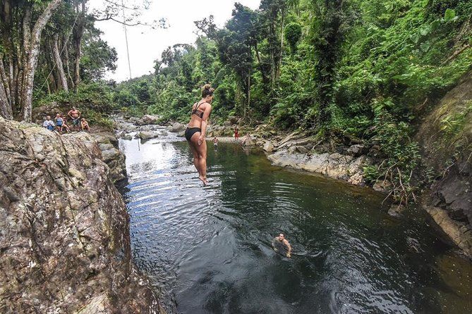 Imagen del tour: Recorrido de senderismo por las zonas menos transitadas de El Yunque