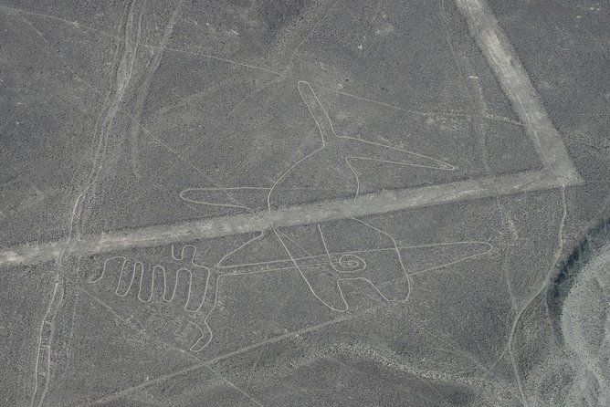 Imagen del tour: Vuelo de las líneas de Nazca y el tour del cementerio de Chauchilla.