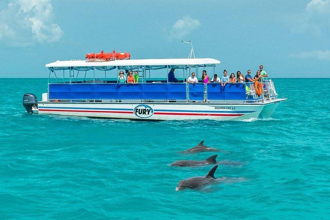 Imagen del tour: Excursión de avistamiento de delfines y buceo de superficie en Cayo Hueso