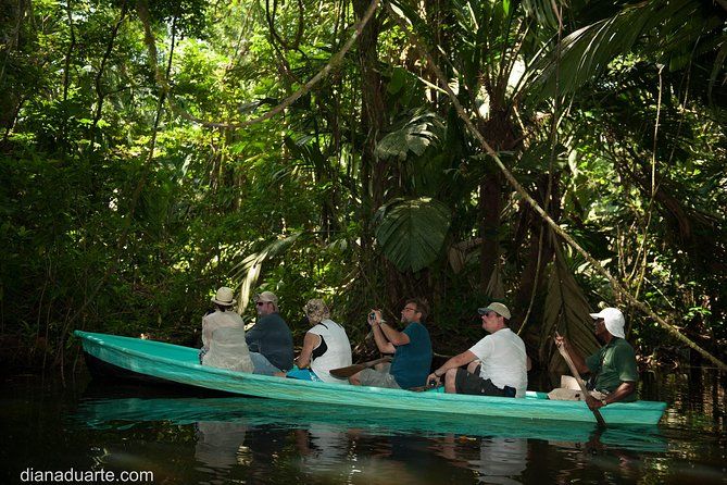 Imagen del tour: Excursión en canoa en el Parque Nacional de Tortuguero