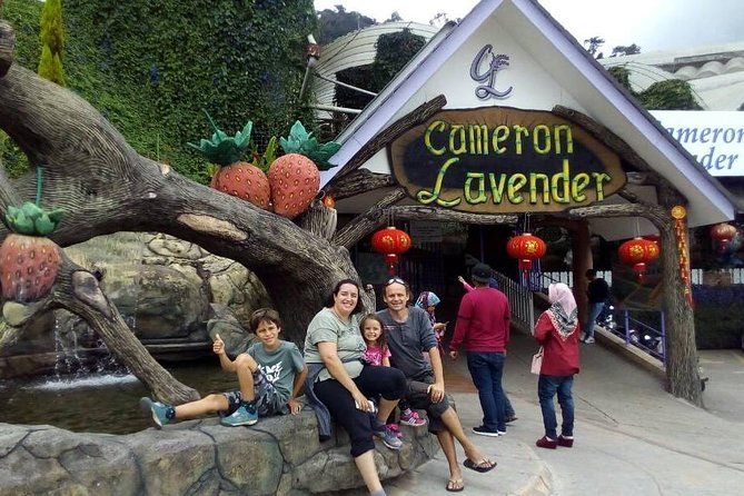 Imagen del tour: Cameron Highlands: Tour Agro Delight