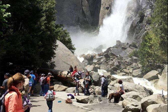 Imagen del tour: Recorrido de un día por Yosemite para grupos pequeños desde San Francisco