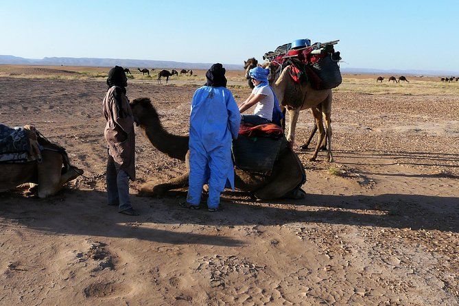 Imagen del tour: Caminata por el desierto de Marruecos en dromedario