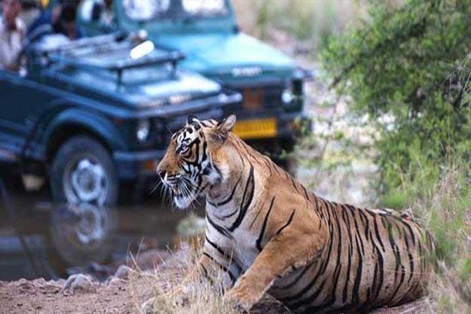 Imagen del tour: Golden Triangle Tour con Tiger Safari en Ranthambore 7 días