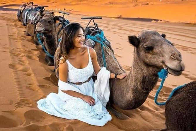 Imagen del tour: Excursión de lujo por el desierto durante la noche desde Fez con paseo en camello