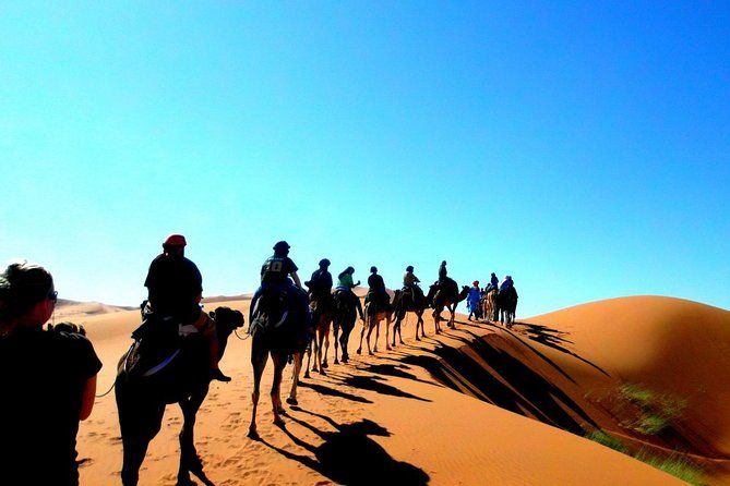 Imagen del tour: Paseo en camello y campamentos bereberes durante la noche en el desierto de Merzouga