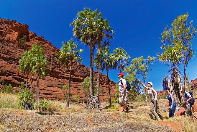 Imagen del tour: Excursión a Palm Valley 4WD desde Alice Springs